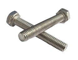 Stainless Steel Hex Head Bolts